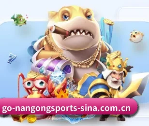 关于我们 - 体育资讯内容服务（NANGONG SPORTS）