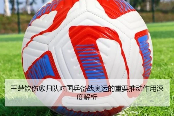 img_1791278437353_2_0_287.jpg（NANGONG SPORTS）